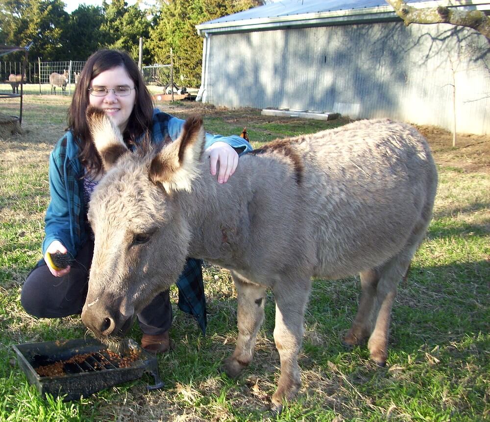 Photo of myself with Newt, a miniature jack donkey; in the background are miniature donkeys in another pen