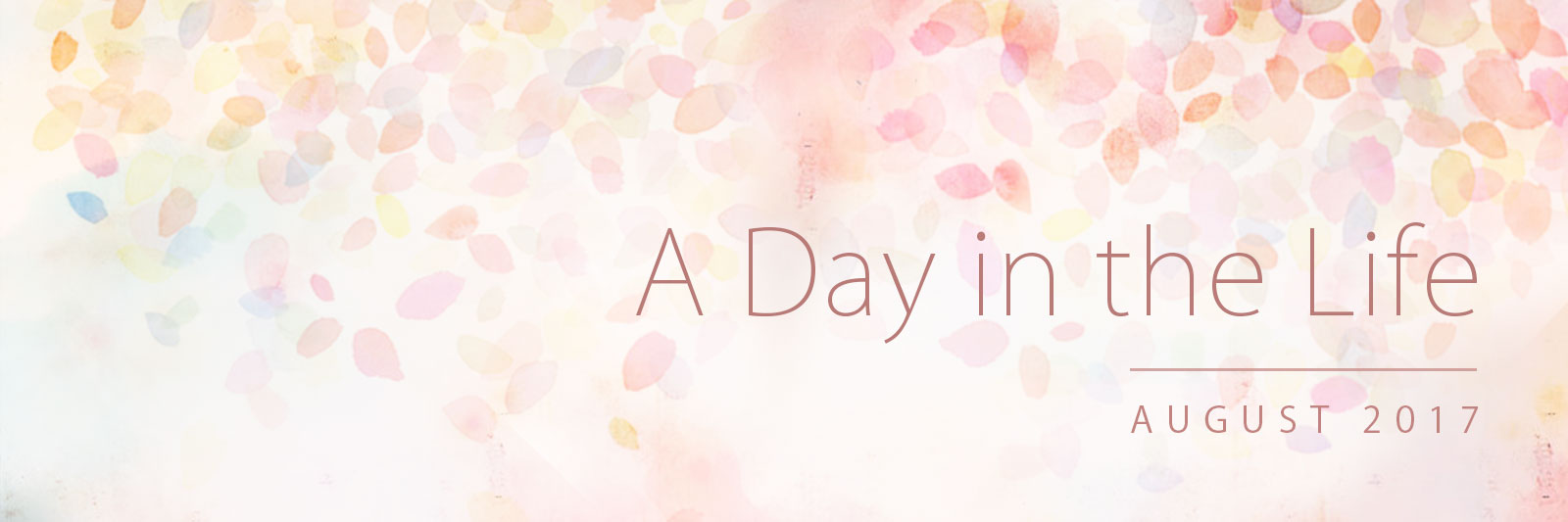 Banner for 'A Day in the Life': August 2017