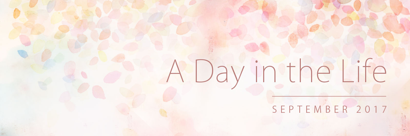 Banner for 'A Day in the Life': September 2017