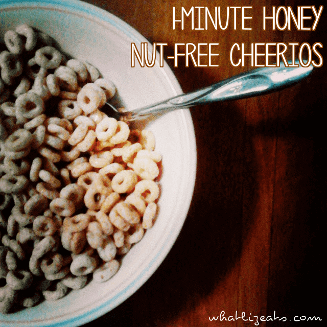Post thumbnail for 1-Minute Honey Nut-Free Cheerios